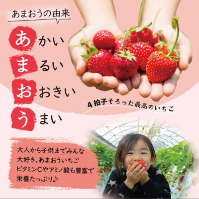 【全2回定期便】あまおう いちご 1080g (約270g×4P)[AZL005]