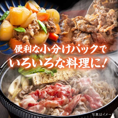 【250gの小分けパック】黒毛和牛 切り落とし 250g×4P 計1kg A4ランク[ACA031]