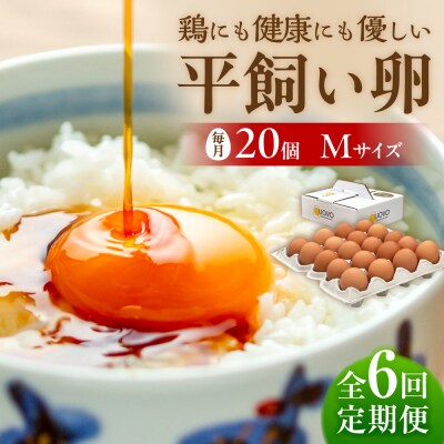 【全6回 定期便】こだわりの卵「天上卵」20個セット 株式会社おおはまファーム[AKH003]