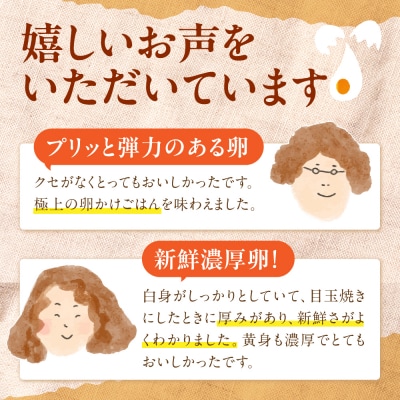 【全6回 定期便】こだわりの卵「天上卵」20個セット 【糸島ファームハウスUOVO】[AKH003]