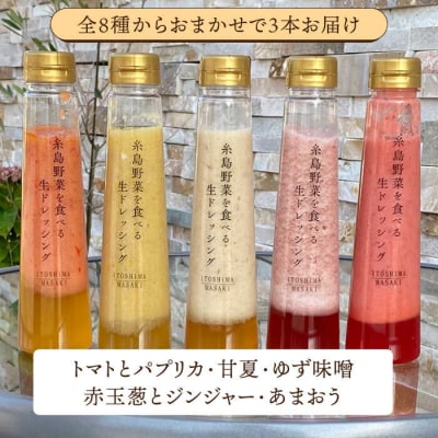 【全12回定期便】 糸島野菜を食べる生ドレッシング お任せ 3本セット[AQA013]