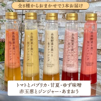 【全6回定期便】 糸島 野菜を食べる 生 ドレッシング お任せ 3本セット[AQA012]