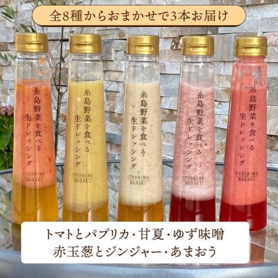 【全6回定期便】 糸島 野菜を食べる 生 ドレッシング お任せ 3本セット[AQA012]