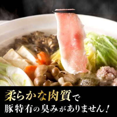一貴山豚 しゃぶしゃぶ食べ比べセット 糸島市/いきさん牧場 鍋 しゃぶしゃぶ [AGB001]