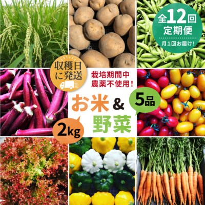 【全12回定期便】☆畑直送☆限定!栽培期間中農薬不使用!お米2kg&野菜5品セット[AGE038]