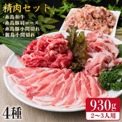 牛肉 豚肉 鶏肉 日常使いの精肉セット 930g 2から3人前 4種 [ACA192]