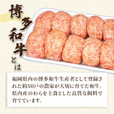 【A4ランク博多和牛入り】 特製生ハンバーグ 150g×10個  [ACA253]