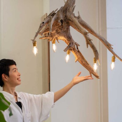 ROOTS Chandelier シャンデリア /WOOD'ARBRE [ADC006]