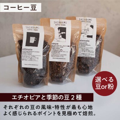 コーヒー豆 3種類 (豆または粉)/ドリップバッグ 15個セット  [ADN003]