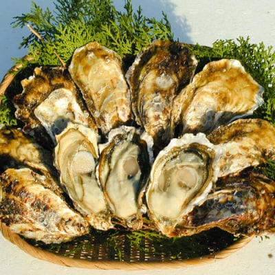 糸島産 ひろちゃんカキのアヒージョ 5食セット 糸島市  [AJA016]