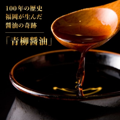 【全3回定期便】国産・完全 無添加 もつ鍋セット (約2人前) しょうゆ味[AFF011]