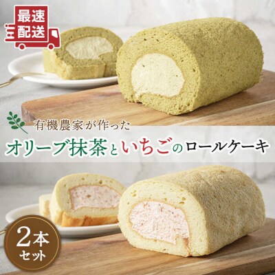 オリーブリーフの抹茶&つぶつぶ糸島いちごロール ケーキ 2本セット [AHB014]