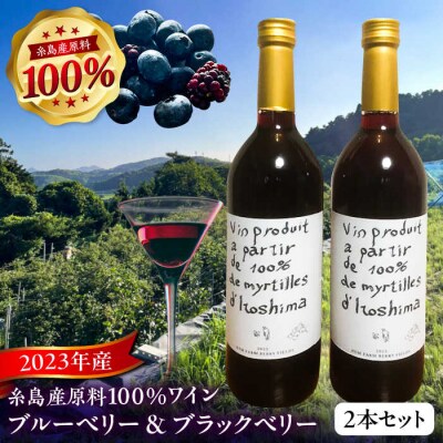 2023年産 糸島産ブルーベリー・ブラックベリーワイン 720ml×2種セット[AHM002]