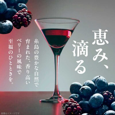 2023年産 糸島産ブルーベリー・ブラックベリーワイン 720ml×2種セット[AHM002]
