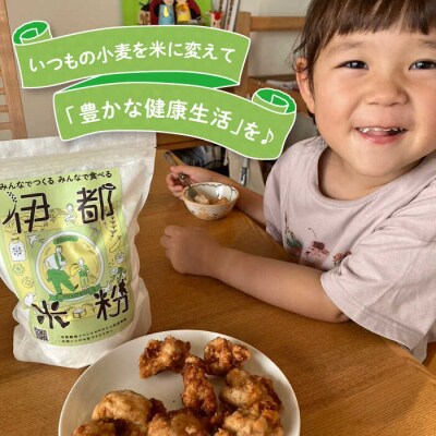 伊都 米粉 白 500g フルタク グルテンフリー 米 [AHN002]
