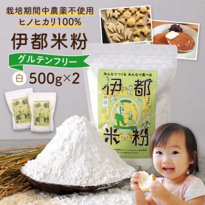伊都 米粉 白 1kg 500g×2 フルタク グルテンフリー 米 [AHN003]