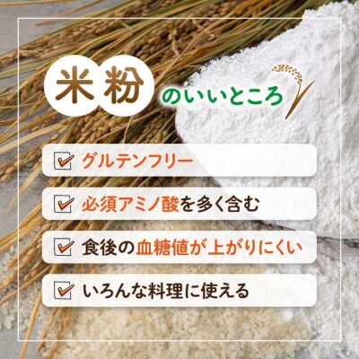 伊都 米粉 白 1kg 500g×2 フルタク グルテンフリー 米 [AHN003]