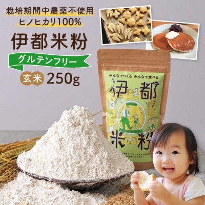 伊都 米粉 玄米 250g フルタク グルテンフリー 米 [AHN004]