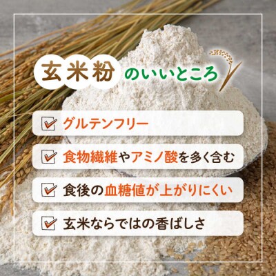 伊都 米粉 玄米 250g フルタク グルテンフリー 米 [AHN004]
