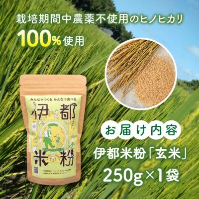 伊都 米粉 玄米 250g フルタク グルテンフリー 米 [AHN004]