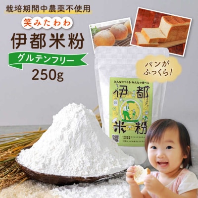 伊都 米粉 笑みたわわ 250g フルタク [AHN006] グルテンフリー 米