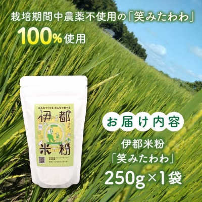 伊都 米粉 笑みたわわ 250g フルタク [AHN006] グルテンフリー 米