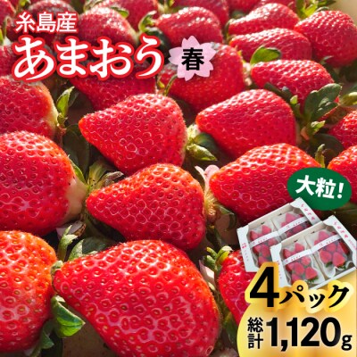 【農家直送 先行受付】糸島産 春あまおう 280g × 4(DXまたはGサイズ) [AML002]