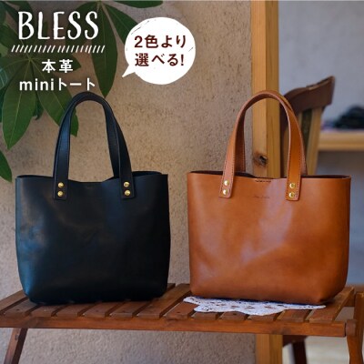 本革 ミニトート (ブラック/キャメル) BLESS [AAA023]