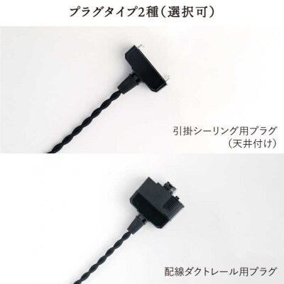ペンダント ライト 2 (ガラス 径17cm)/タビノキセキ [ADB035]