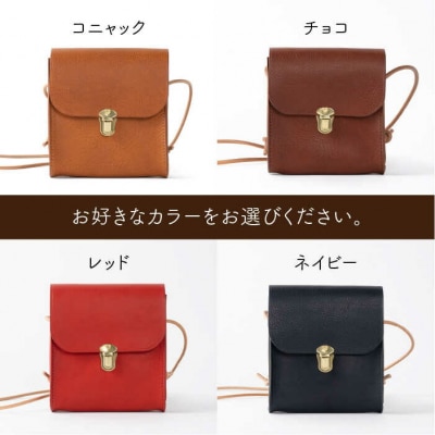 差し込み金具の小さな ショルダーバッグ 【LADIES&GENTLEMEN】[ADK010]