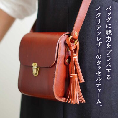 タッセルチャーム LADIES&GENTLEMEN [ADK059]