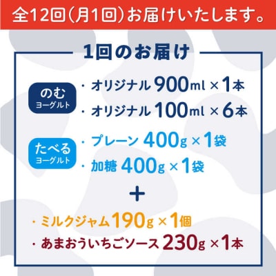 【全12回定期便】【伊都の朝】伊都物語のファミリーセット 糸島市  [AFB054]