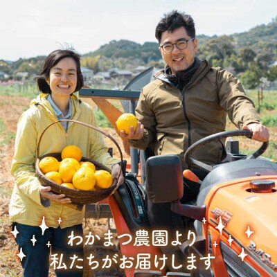 【全3回定期便】農香 ばぁむ クリーム わかまつ農園 [AHB026]