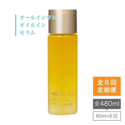 【全6回定期便】 オールインワン オイル イン セラム【株式会社Yu-ki】[AHJ009]