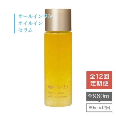【全12回定期便】 オールインワン オイル イン セラム【株式会社Yu-ki】[AHJ010]