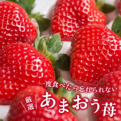 【先行受付】【春】ヨーグルトあまおう×あまおう2パック【2026年2月以降発送】  [AIK015]