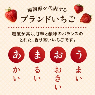 【先行受付】【春】ヨーグルトあまおう×あまおう2パック【2026年2月以降発送】  [AIK015]