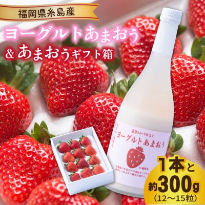 【先行受付】ヨーグルトあまおう×あまおう(12-15粒)【2025年12月以降発送】[AIK017]