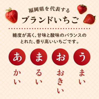 【先行受付】ヨーグルトあまおう×あまおう(12-15粒)【2025年12月以降発送】[AIK017]