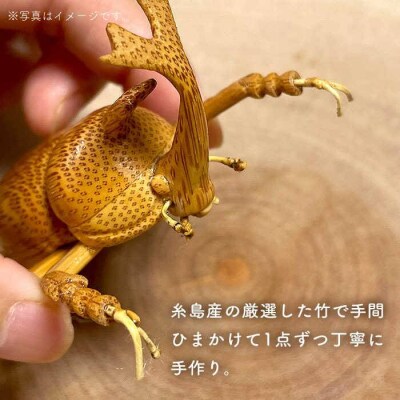 爽風じぃじ 工房の手作り 竹細工 カブトムシ【爽風農園】[AIZ002]