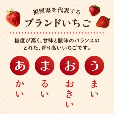 糸島産 濃厚 あまおう ジェラート1000ml [AIK005]