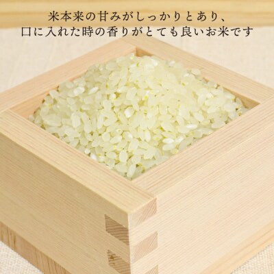 【全3回定期便】 糸島産 夢つくし 5kg × 3回(月1回)糸島市/糸島王丸農園[AAZ002]