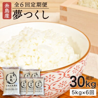 【全6回定期便】 糸島産 夢つくし 5kg × 6回(月1回)糸島市/糸島王丸農園[AAZ003]