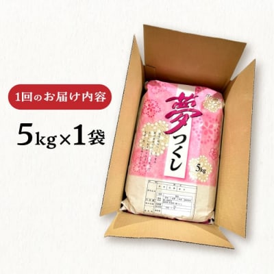 【全3回定期便】糸島産 夢つくし 5kg 糸島市/三島商店 [AIM005]