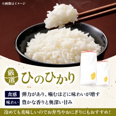 【全6回定期便】糸島産 いとし米 厳選ひのひかり 5kg 糸島市/三島商店 [AIM025]