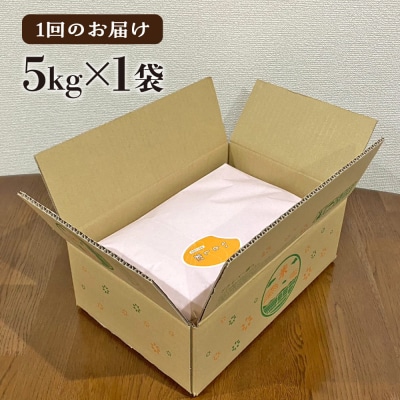 【全6回定期便】糸島産 いとし米 厳選ひのひかり 5kg 糸島市/三島商店 [AIM025]