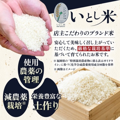 【全6回定期便】糸島産 いとし米 厳選ブレンド 5kg 糸島市/三島商店 [AIM036]