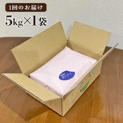 【全6回定期便】糸島産 いとし米 厳選ブレンド 5kg 糸島市/三島商店 [AIM036]