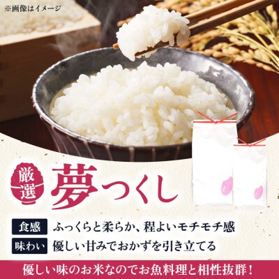 【全6回定期便】糸島産 いとし米 厳選夢つくし 10kg 糸島市/三島商店 [AIM048]