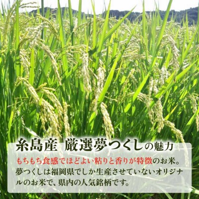【全6回定期便】糸島産 いとし米 厳選夢つくし 10kg 糸島市/三島商店 [AIM048]